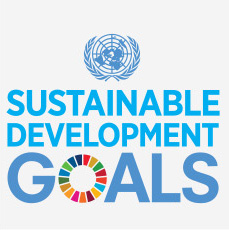 The Sustainable Development Goals