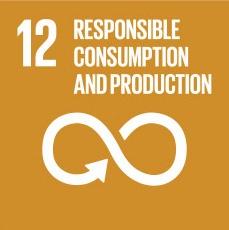 Goal 12: Responsible Consumption and Production